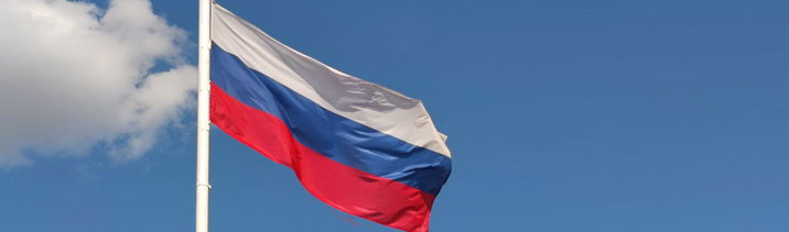 Распространяются ли российские экономические санкции на закупки по 44-ФЗ?